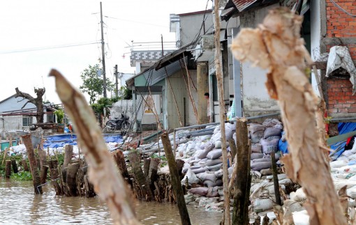 Chủ động triển khai các phương án ứng phó 