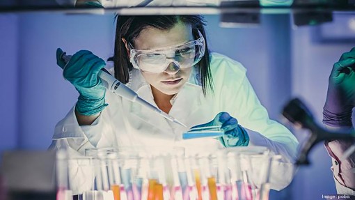 Trung Quốc kín tiếng về chương trình “Nghìn tài năng”