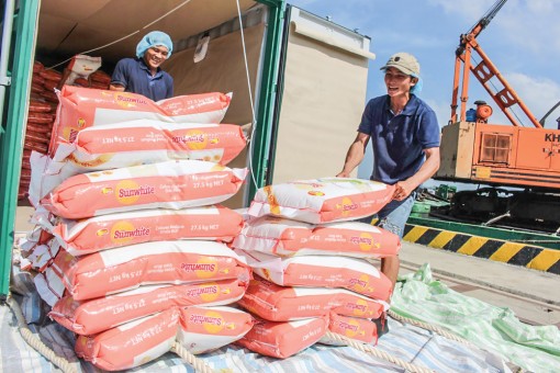 Tạo đà tăng trưởng, vững tiến trong năm mới