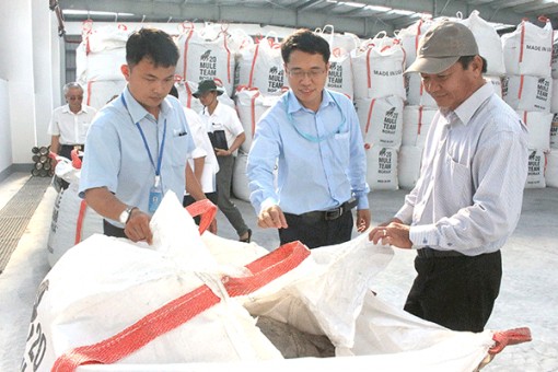 Tìm giải pháp xử lý tro bay tại Nhà máy đốt rác phát điện Cần Thơ