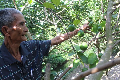 Xây dựng Hội trong sạch vững mạnh, hoạt động hiệu quả