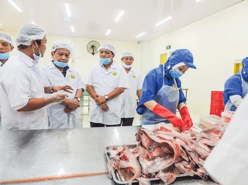 Cái Răng vững vàng trên đường phát triển