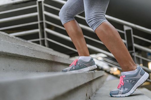 Leo cầu thang vài phút mỗi ngày tốt cho tim