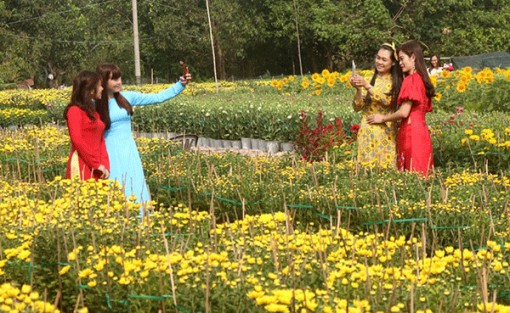 Các điểm du lịch Cần Thơ rộn ràng đón Tết