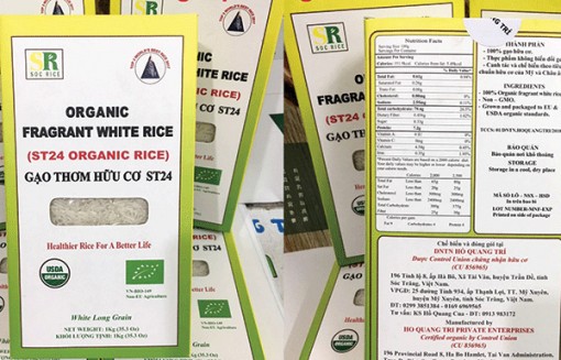 Gạo thơm, chất lượng cao chiếm ưu thế