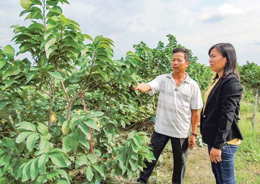 Học Bác, dựa vào dân lo cho dân
