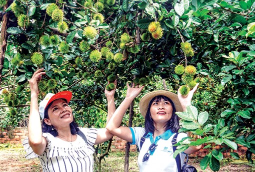 Thay đổi tư duy cho Đồng bằng sông Cửu Long thịnh vượng