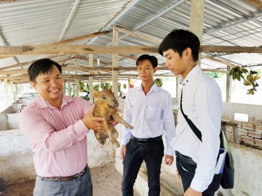 Nuôi heo rừng trên vùng châu thổ