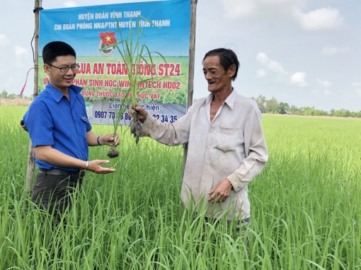 Dấu ấn xanh trên những vùng nông thôn mới