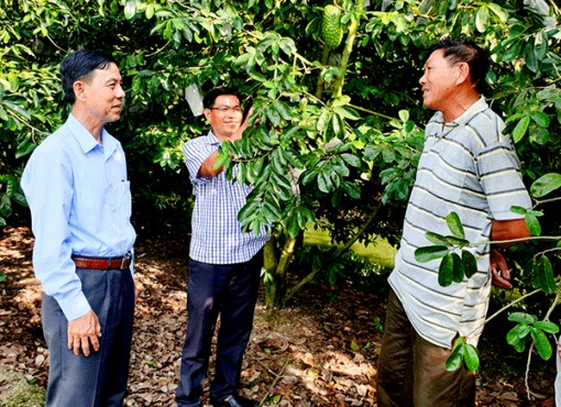 Làm giàu từ cây mãng cầu
