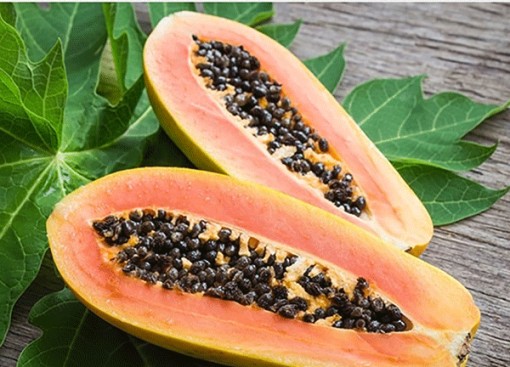 Đu đủ có tác dụng thế nào đối với sức khỏe?