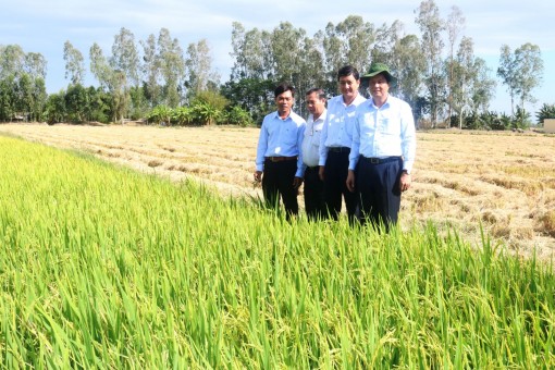 Lãnh đạo thành phố thăm đồng, kiểm tra các dự án ở huyện Thới Lai