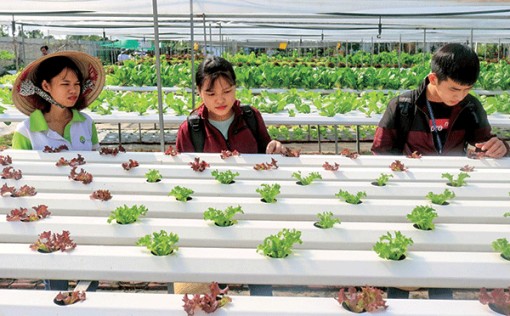 Ứng dụng công nghệ trong sản xuất nông nghiệp