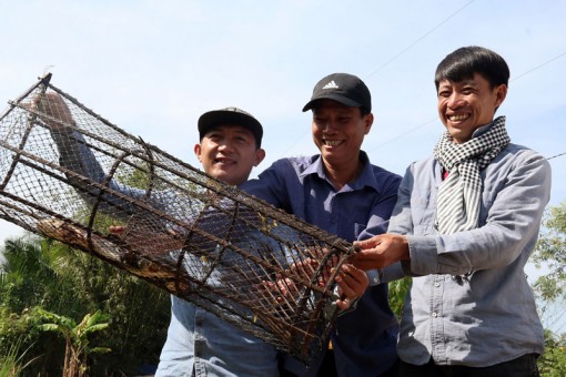 Độc đáo mô hình vỏ lãi “vượt chướng ngại vật”