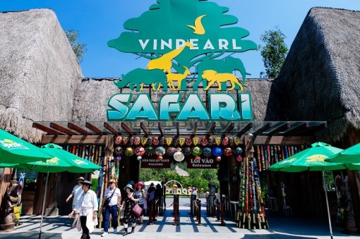 Vinpearl Safari Phú Quốc – Trải nghiệm “Tết mới”,  gắn kết thiên nhiên