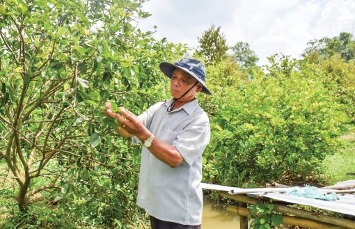 Xác định khâu đột phá,

kỳ vọng một năm thắng lợi