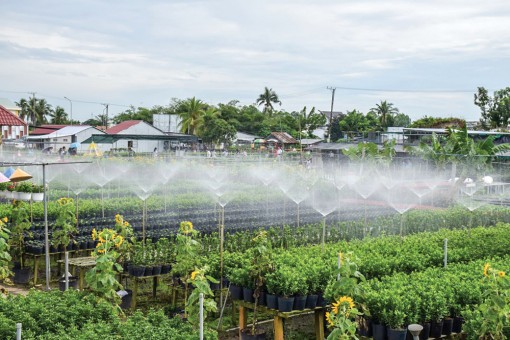 Giữ nước ngọt cho vùng đồng bằng Sông Cửu Long<br>Bài 2: Chủ động quản lý và sử dụng hiệu quả