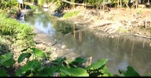 Rạch Cái Chôm bị ô nhiễm nghiêm trọng