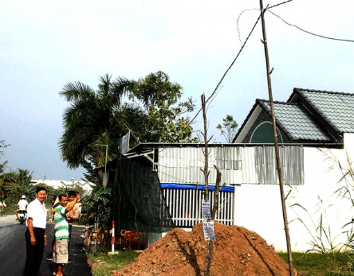 Sớm đầu tư lưới điện hạ thế