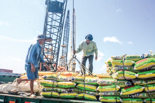 Thúc đẩy logistics tại Cần Thơ phát triển xứng tầm