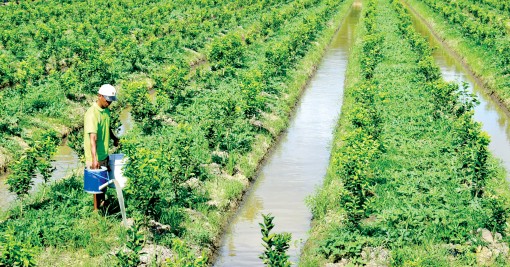 Vẫn còn nhiều việc phải làm