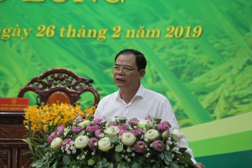 Tái cơ cấu, tổ chức thị trường hợp lý để hoạt động sản xuất và tiêu thụ lúa gạo bền vững, hiệu quả