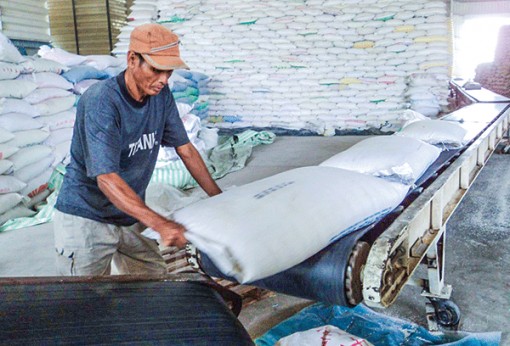 Hợp lực cải thiện chất lượng sản phẩm