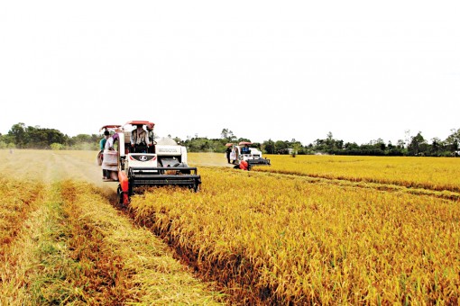 Giảm chi phí, tăng chất lượng