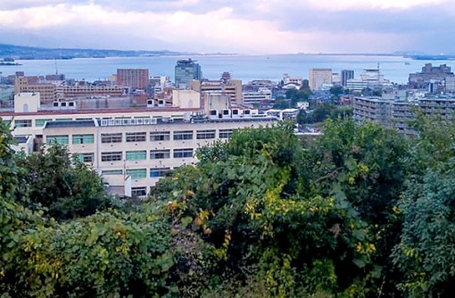 Nhật Bản dùng AI ngăn chặn nạn tự tử do bị bắt nạt