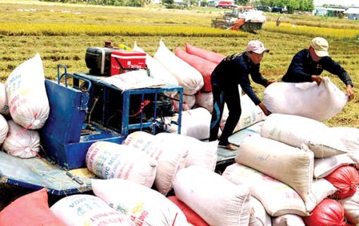 Vốn cho nông nghiệp