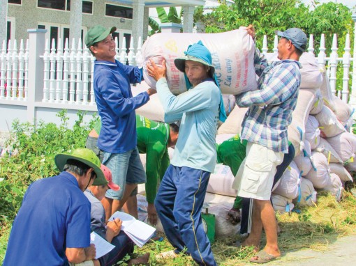 Phát huy vai trò

của hợp tác xã