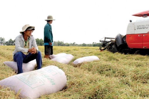 Vấn đề không phải là con số