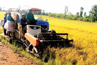 Hợp tác sản xuất để tăng chuỗi giá trị nông sản Hợp tác sản xuất để tăng chuỗi giá trị nông sản