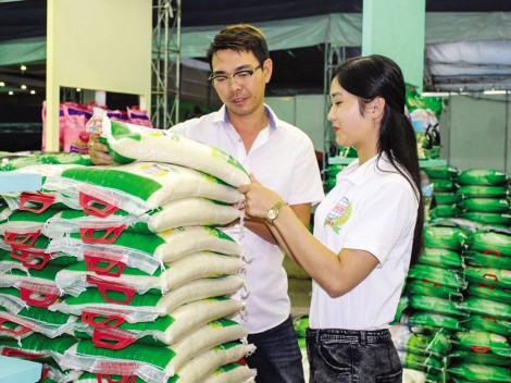 Vì sao doanh nghiệp xuất khẩu gạo “lạnh nhạt” thị trường nội địa?