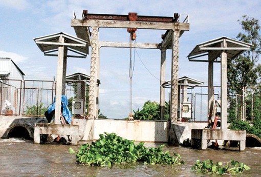 Chủ động ứng phó khô hạn, xâm nhập mặn cho vùng ÐBSCL