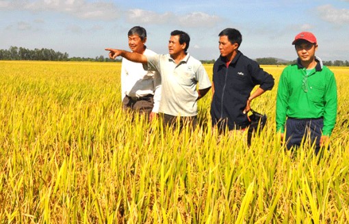 Lãnh đạo đẩy mạnh phát triển kinh tế tập thể