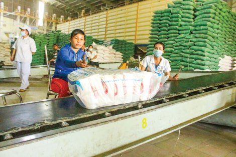 Để "giữ giá" cho hạt gạo xuất khẩu Việt