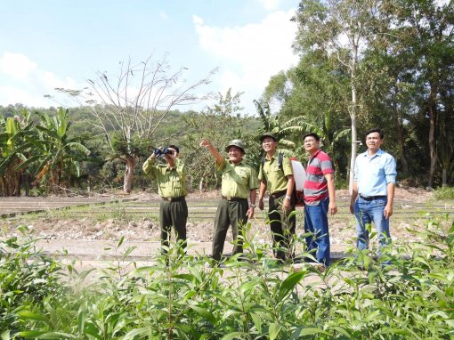 ĐBSCL khẩn trương phòng chống cháy rừng