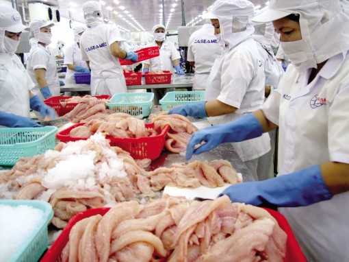 10 tỉ USD - cơ hội và thách thức cho ngành thủy sản