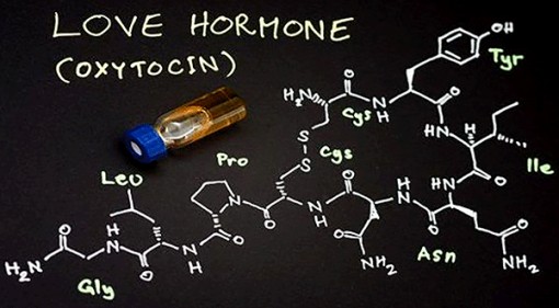 Những lợi ích bất ngờ của “hoóc-môn tình yêu”