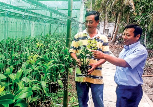 Tạo đà đưa nông nghiệp đô thị khởi sắc