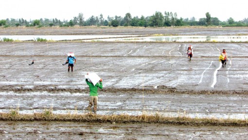 Tọa đàm khoa học “phát triển kinh tế nông nghiệp và khởi nghiệp nông thôn”