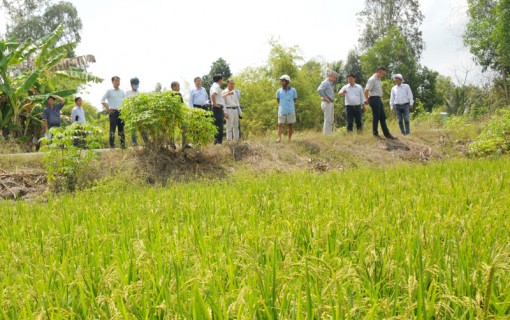GIZ hỗ trợ thành lập Trung tâm sáng tạo xanh
cho ngành nông nghiệp
