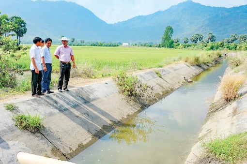 ĐBSCL khẩn trương ứng phó hạn, mặn