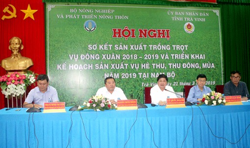 Triển khai sản xuất vụ hè thu, thu đông, vụ mùa năm 2019 tại Nam bộ