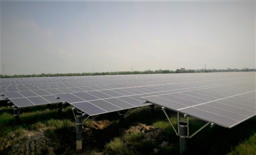 “Sếu đầu đàn” năng lượng sạch