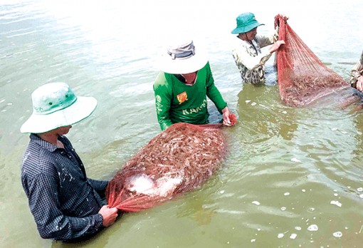 Xây dựng chuỗi giá trị để phát triển bền vững