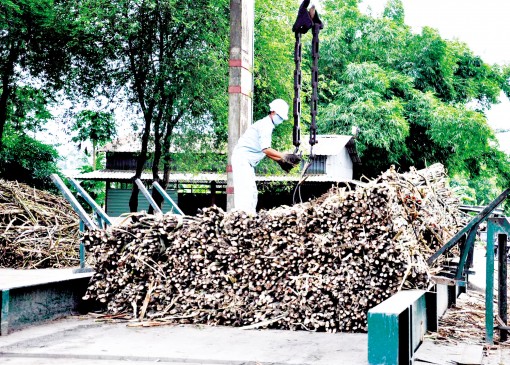 Trong cơn bĩ cực!