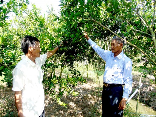 Tạo diện mạo mới

cho xã nông thôn mới