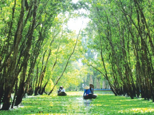 “Phượt” trên cung đường xanh